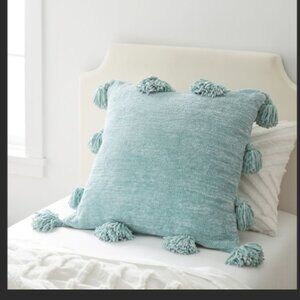 POTTERY BARN Teen Dorm Chenille Chunky Tassel 26 in Euro Pillow NEW NWT